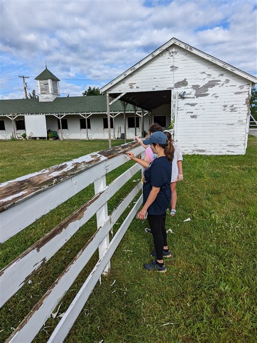 Luisa Urso volunteering, painting a fence at a community restoration project